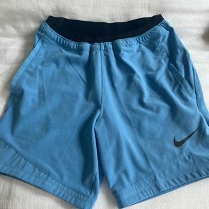 Nike Dri-Fit Mens shorts
